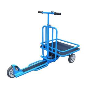 SCOOTER-LS100, Tragfähigkeit 200 kg
